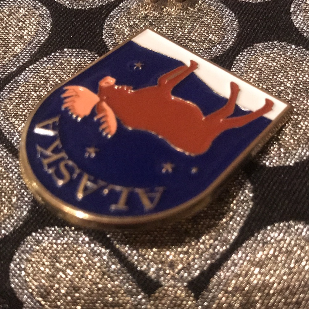 Alaska Pin - Picture 3 of 5